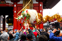 A dragon works the crowd, Tokyo, Japan