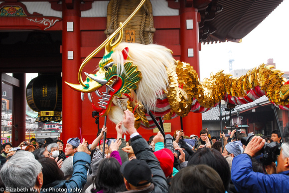 A dragon works the crowd, Tokyo, Japan