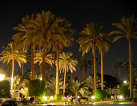 Garden of Republican Palace at night, Baghdad 2004